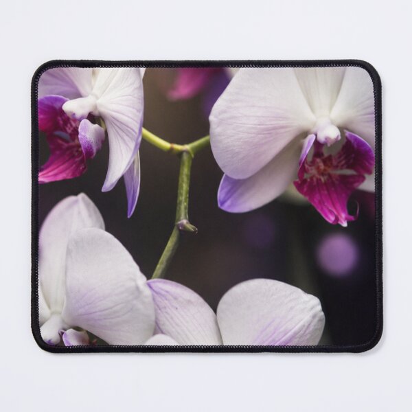 Item preview, Ethereal Orchid Dreams designed and sold by Kimberly Palmer.