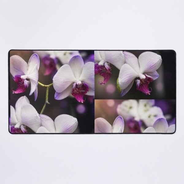 Item preview, Ethereal Orchid Dreams designed and sold by Kimberly Palmer.