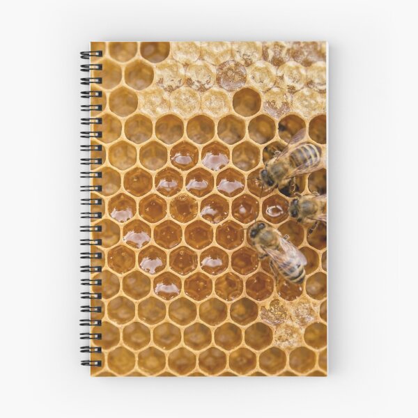 Item preview, Honeycomb designed and sold by snoWorkshop.