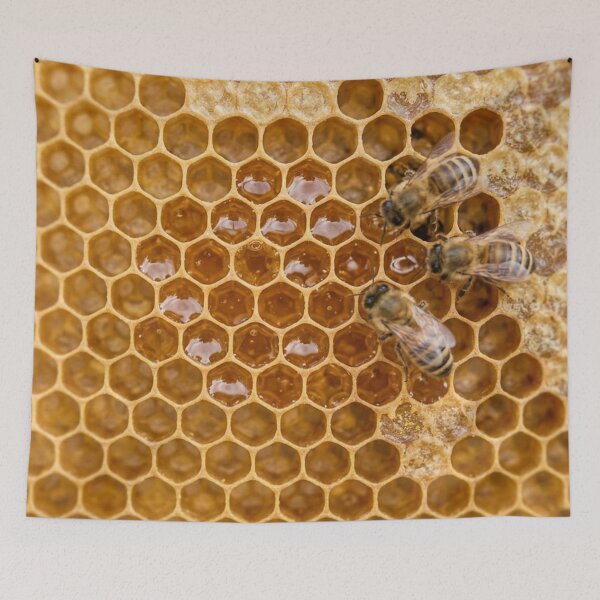 Item preview, Honeycomb designed and sold by snoWorkshop.