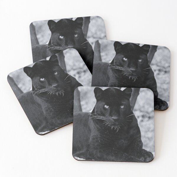 Item preview, Black Panther designed and sold by Wildlife BW.