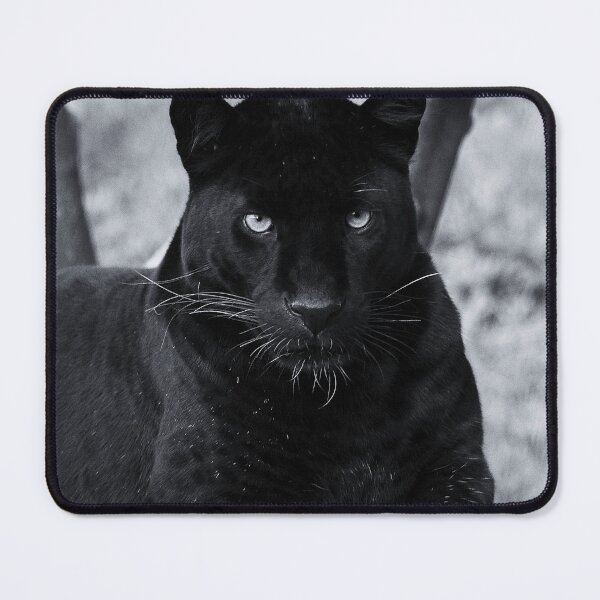 Item preview, Black Panther designed and sold by Wildlife BW.