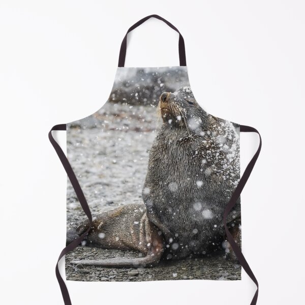Item preview, Fur Seal Basking in Falling Snow South Georgia Island designed and sold by PhotoArt by Joan Carroll.