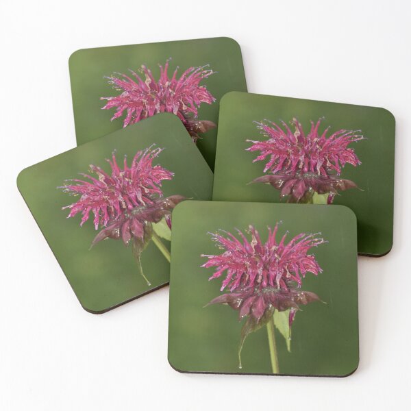 Item preview, Pink Bee Balm Flower Macro Photography designed and sold by TathataPhotos.