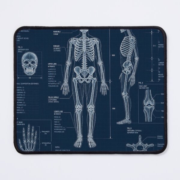 Item preview, Skeleton Blueprint Technical Halloween Shirt | Vintage Patent Diagram Design designed and sold by SunnyDesign82.