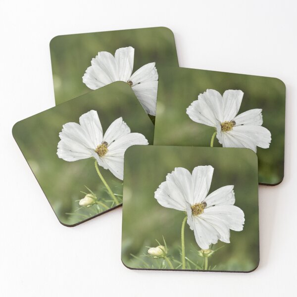 Item preview, White Cosmos Bloom Macro Photography designed and sold by TathataPhotos.