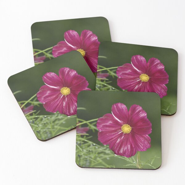 Item preview, Pink Cosmos Flower Macro Photography designed and sold by TathataPhotos.