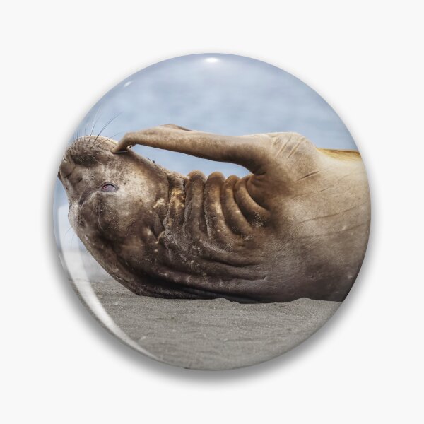 Item preview, Relaxed Elephant Seal on South Georgia Island designed and sold by PhotoArt by Joan Carroll.