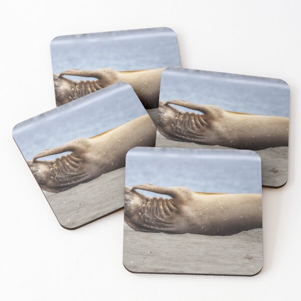 Item preview, Relaxed Elephant Seal on South Georgia Island designed and sold by PhotoArt by Joan Carroll.