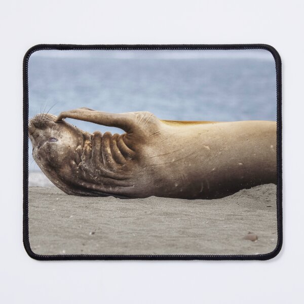 Item preview, Relaxed Elephant Seal on South Georgia Island designed and sold by PhotoArt by Joan Carroll.