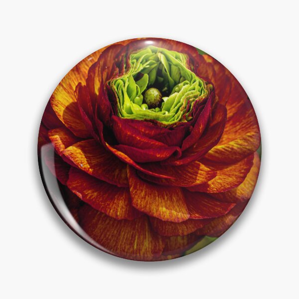 Item preview, Mitchell Park Domes Flower designed and sold by Nick Caldwell.