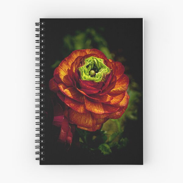 Item preview, Mitchell Park Domes Flower designed and sold by Nick Caldwell.