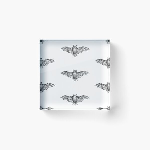 Item preview, Common Pipistrelle Bat Illustration designed and sold by Magpie Prints.