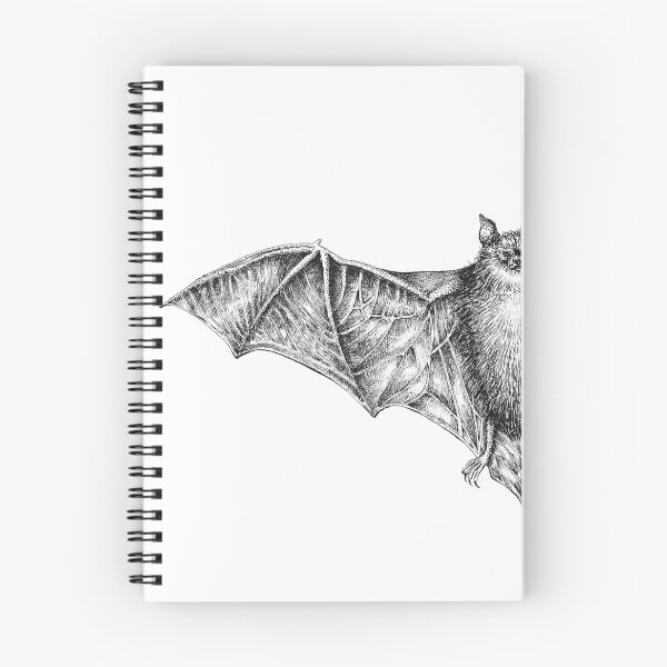 Item preview, Common Pipistrelle Bat Illustration designed and sold by Magpie Prints.