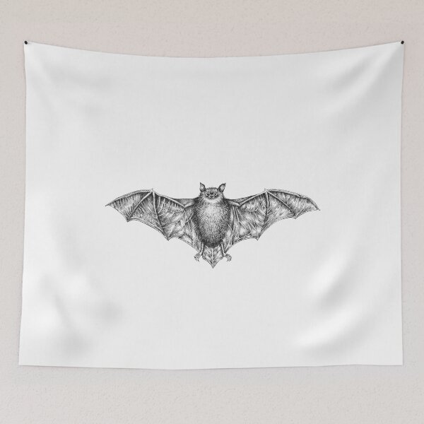 Item preview, Common Pipistrelle Bat Illustration designed and sold by Magpie Prints.