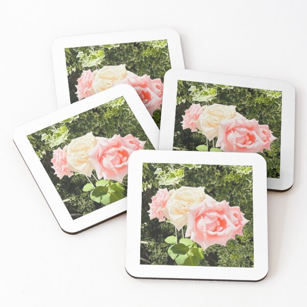 Item preview, Soft Pink and Cream Roses in Garden designed and sold by radercolorfuls.