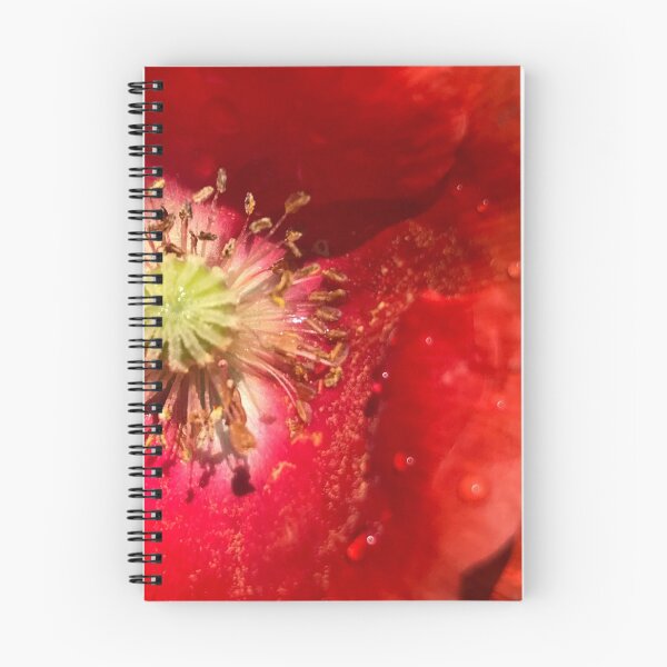 Item preview, basically designed and sold by BESSETTE.