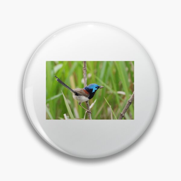 Item preview, Variegated Fairy-Wren with Insect designed and sold by radercolorfuls.