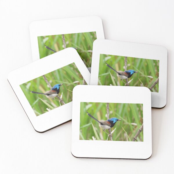 Item preview, Variegated Fairy-Wren with Insect designed and sold by radercolorfuls.