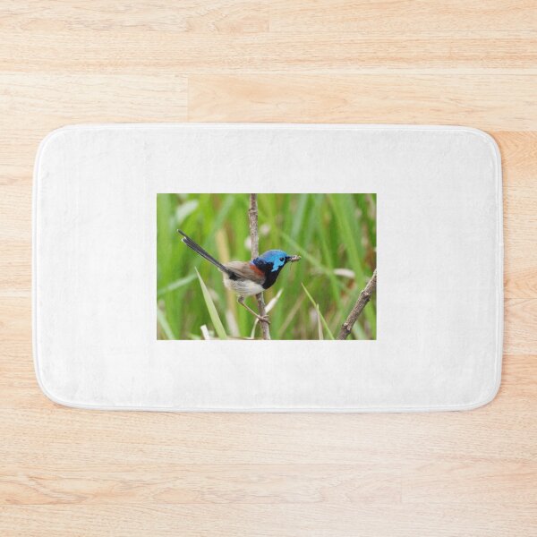 Item preview, Variegated Fairy-Wren with Insect designed and sold by radercolorfuls.