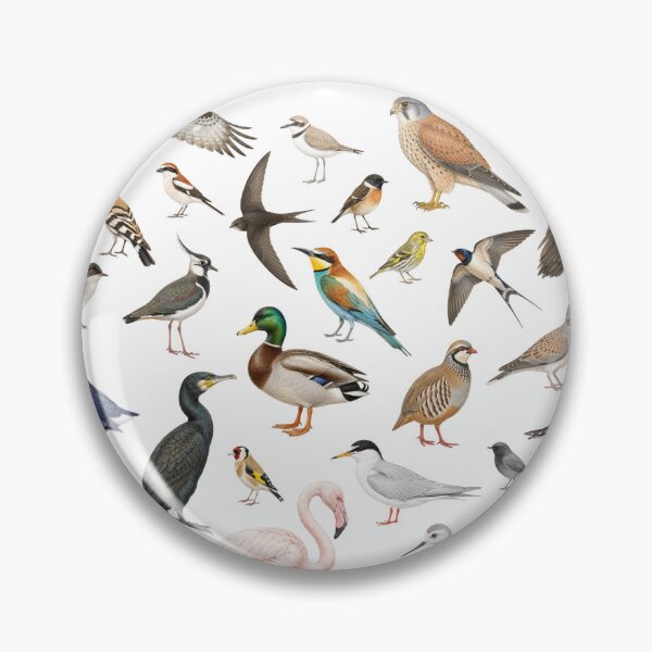 Item preview, Birds of the Balearic Islands designed and sold by IsmaelMateu.