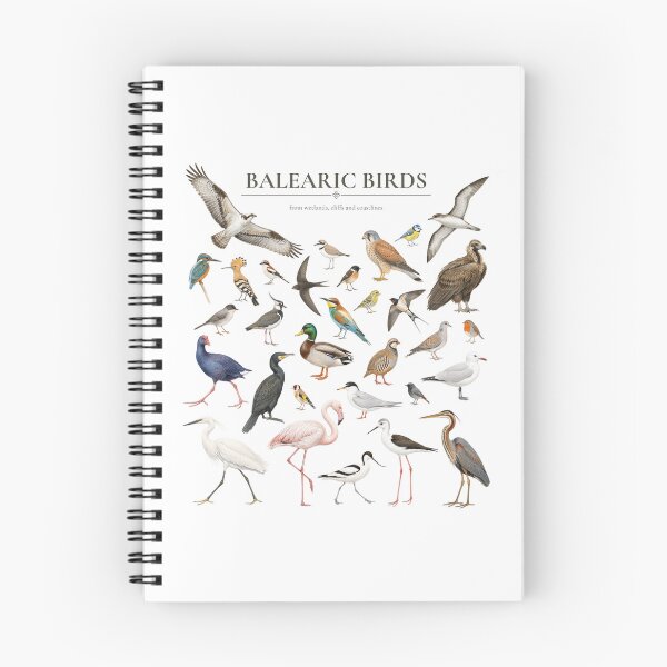 Item preview, Birds of the Balearic Islands designed and sold by IsmaelMateu.
