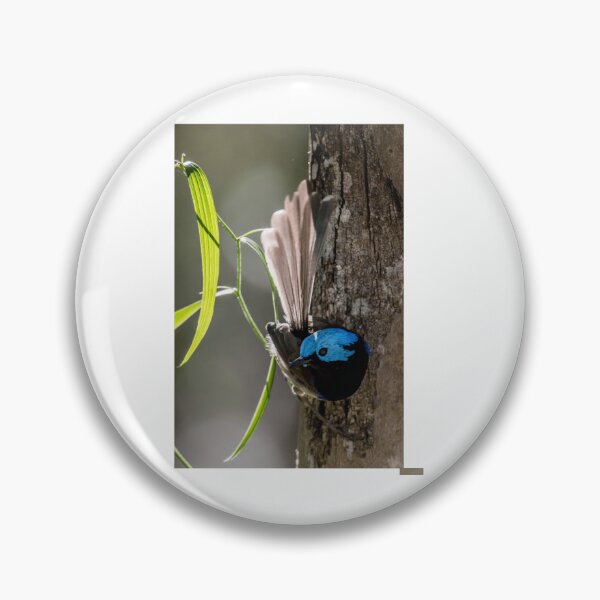 Item preview, Variegated Fairy-Wren Perched on Tree designed and sold by radercolorfuls.