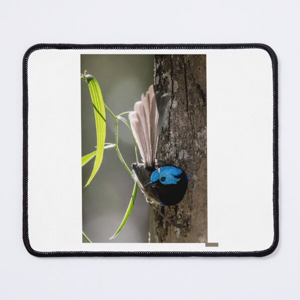 Item preview, Variegated Fairy-Wren Perched on Tree designed and sold by radercolorfuls.