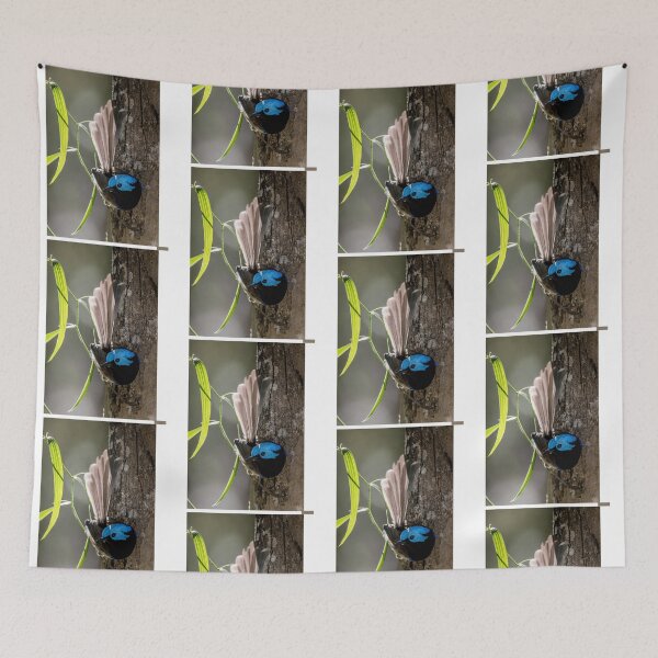 Item preview, Variegated Fairy-Wren Perched on Tree designed and sold by radercolorfuls.