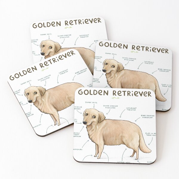 Item preview, Anatomy of a Golden Retriever Diagram designed and sold by fableand.