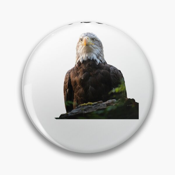 Item preview, Forest Sentinel | Realistic Bald Eagle Portrait designed and sold by Bwolf1956.