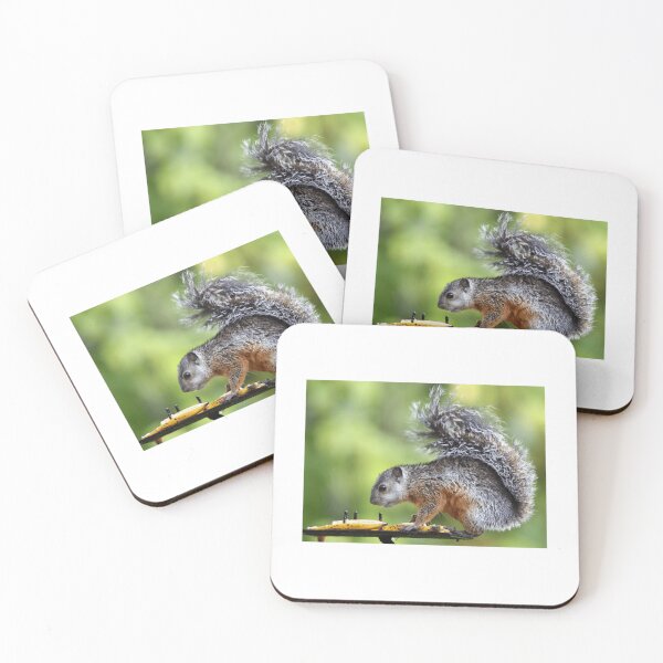 Item preview, Variegated Squirrel Eating Fruit designed and sold by radercolorfuls.