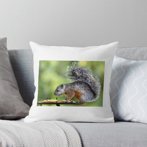 Item preview, Variegated Squirrel Eating Fruit designed and sold by radercolorfuls.