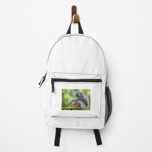 Item preview, Variegated Squirrel Eating Fruit designed and sold by radercolorfuls.