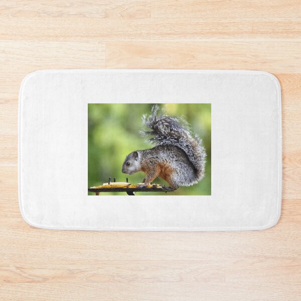 Item preview, Variegated Squirrel Eating Fruit designed and sold by radercolorfuls.