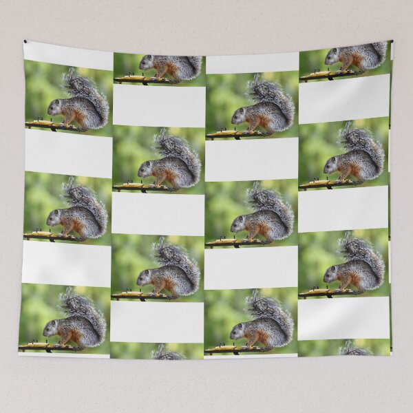 Item preview, Variegated Squirrel Eating Fruit designed and sold by radercolorfuls.
