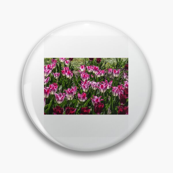 Item preview, Vibrant Pink and Purple Variegated Tulips designed and sold by radercolorfuls.