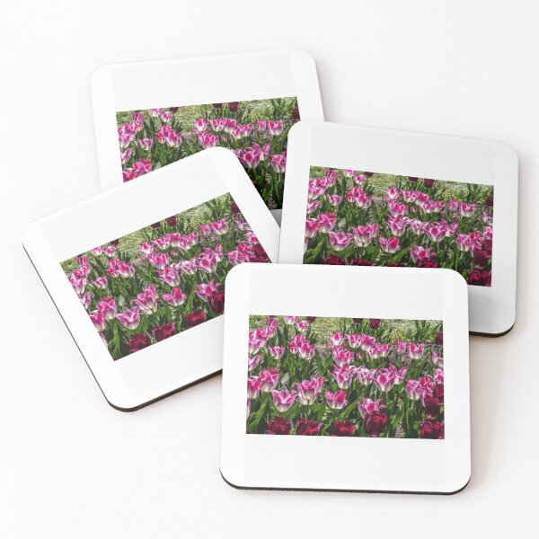 Item preview, Vibrant Pink and Purple Variegated Tulips designed and sold by radercolorfuls.