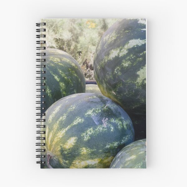 Item preview, Ripe Watermelons Piled at Farm Stand Fresh Summer Melons Harvested Fruit Market Display designed and sold by Nmallia.