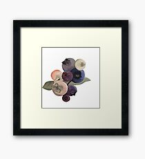 Maine Blueberries Framed Print