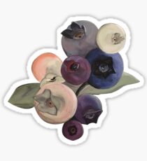 Maine Blueberries Sticker