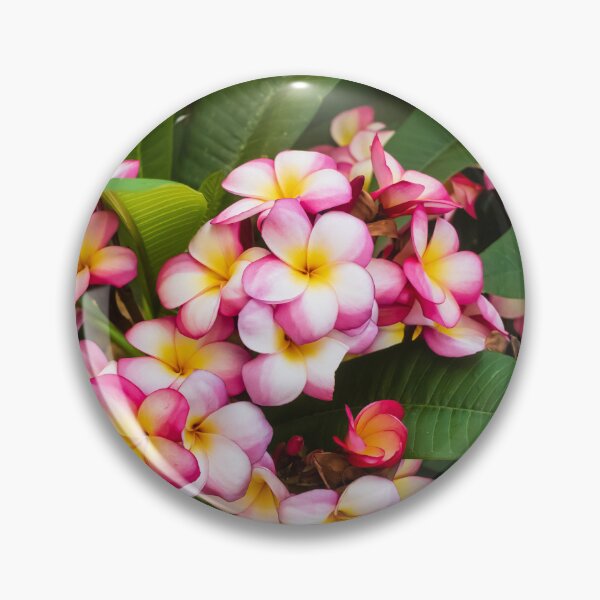 Item preview, Pink And White Plumeria (Frangipani) Blooms With Yellow Centers Against Tropical Green Leaves designed and sold by Nmallia.