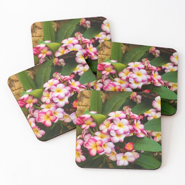 Item preview, Pink And White Plumeria (Frangipani) Blooms With Yellow Centers Against Tropical Green Leaves designed and sold by Nmallia.