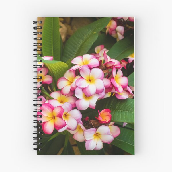 Item preview, Pink And White Plumeria (Frangipani) Blooms With Yellow Centers Against Tropical Green Leaves designed and sold by Nmallia.
