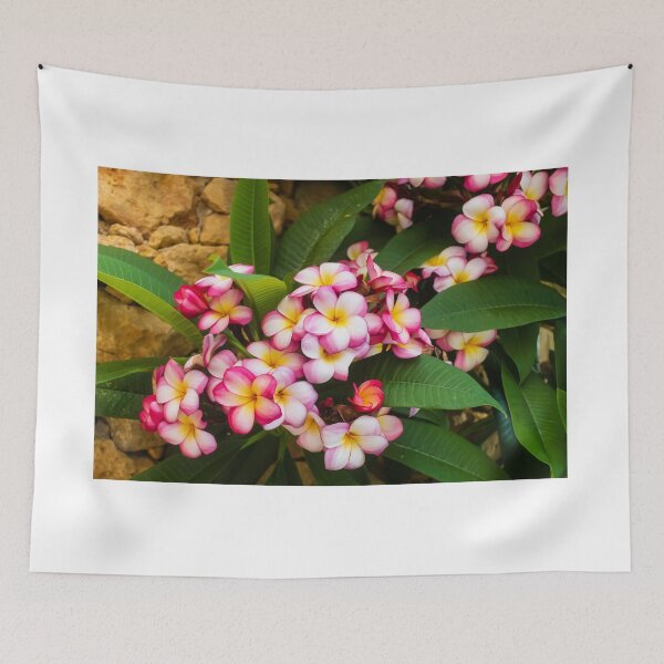 Item preview, Pink And White Plumeria (Frangipani) Blooms With Yellow Centers Against Tropical Green Leaves designed and sold by Nmallia.