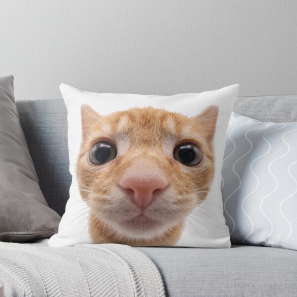 Aperçu de l'œuvre Chat orange créée et vendue par MW-Farm.