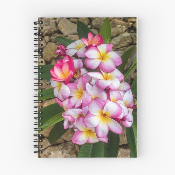 Item preview, Pink And White Plumeria (Frangipani) Blooms With Yellow Centers Against Tropical Green Leaves designed and sold by Nmallia.