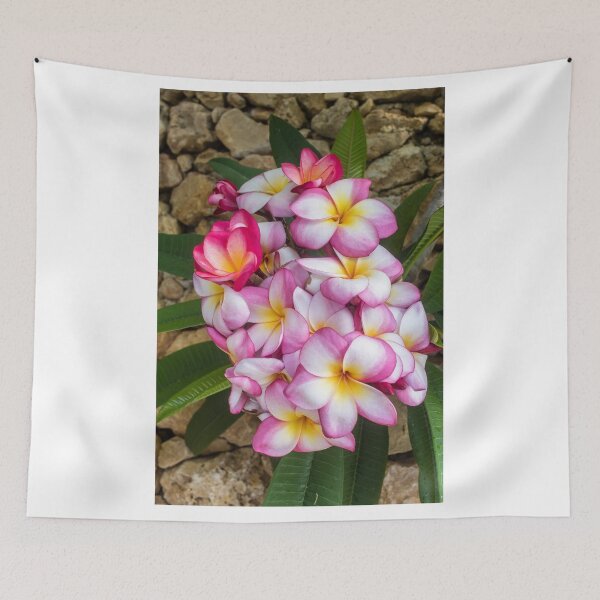 Item preview, Pink And White Plumeria (Frangipani) Blooms With Yellow Centers Against Tropical Green Leaves designed and sold by Nmallia.