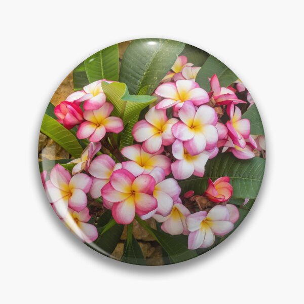 Item preview, Pink And White Plumeria (Frangipani) Blooms With Yellow Centers Against Tropical Green Leaves designed and sold by Nmallia.