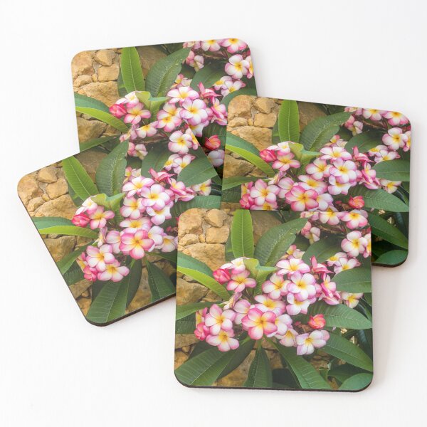 Item preview, Pink And White Plumeria (Frangipani) Blooms With Yellow Centers Against Tropical Green Leaves designed and sold by Nmallia.